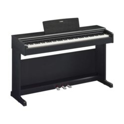 Yamaha Arius Ydp 144