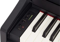 Roland Rp102