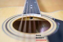 Dan Guitar Greg Bennett Gd100scn