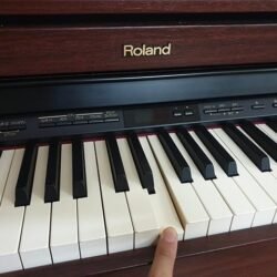 Phim Dan Roland Hp505gp