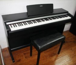 Dan Piano Yamaha Ydp 142