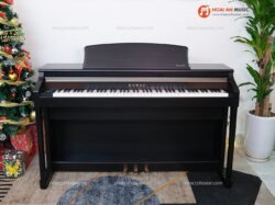 00 Kawai Ca65 01