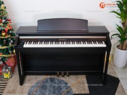 00 Kawai Ca65 03