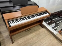 311736941 8977584428934208 465826228201091850 N