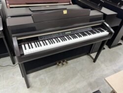 318232119 9161575540535095 6590783587232526698 N