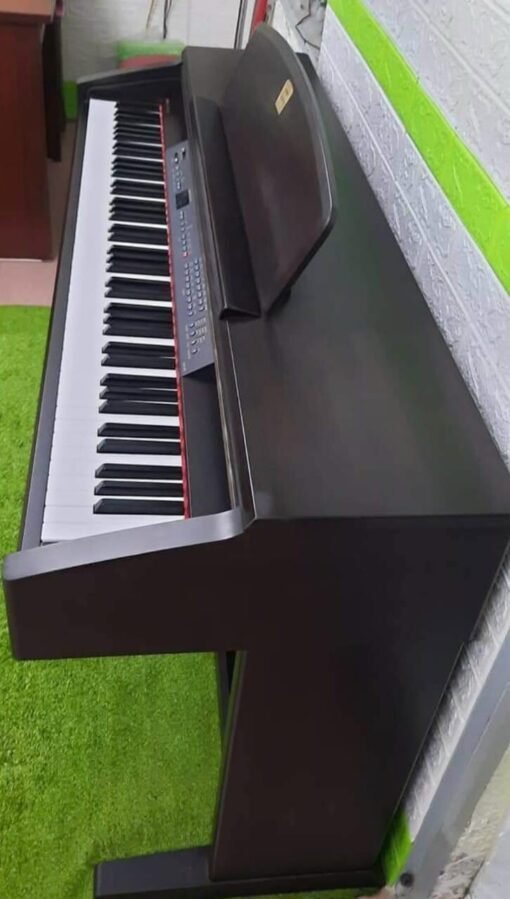 Clp1300