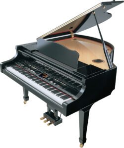 Đàn Grand Piano Điện Roland KR117M PE
